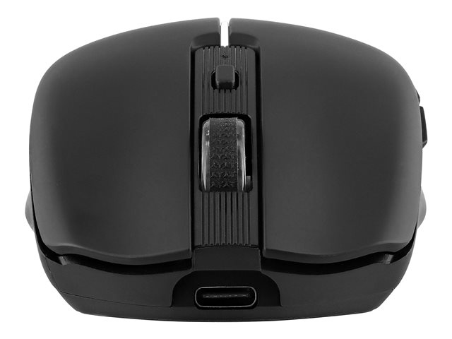 T'NB - Souris 
