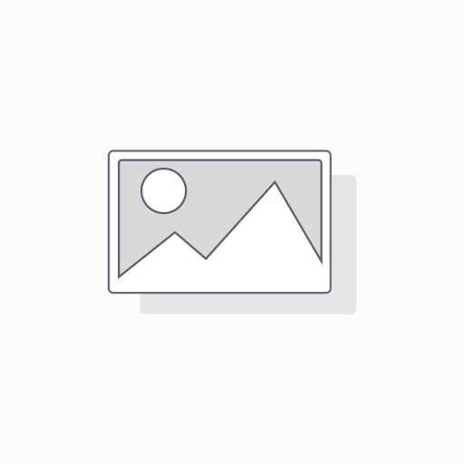 MICROSOFT - Visio LTSC Professional 2024 